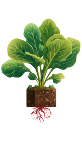 Projekt bez nazwy (45) Projekt bez nazwy (45)