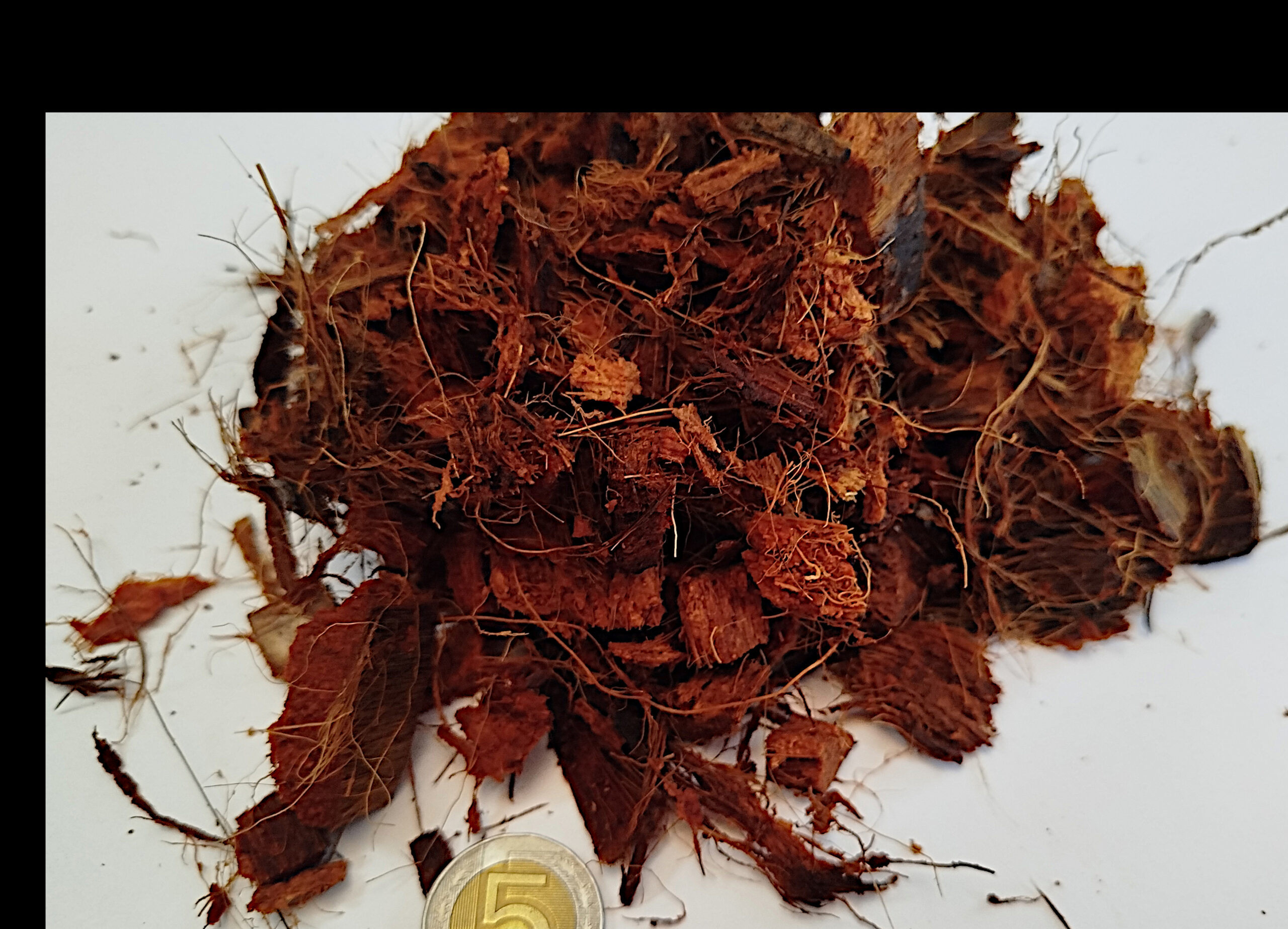 Chipsy Kokosowe - obrazek 2